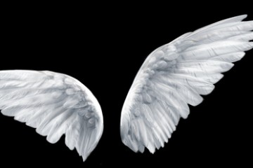 angeli_foto