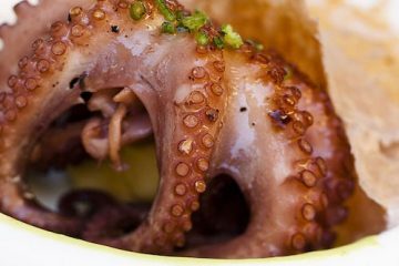 cuocere cucinare polpo