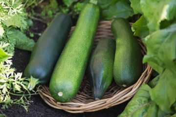 zucchine cesto