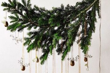 Demo Albero