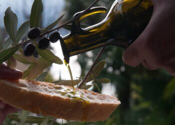 L’olio nuovo cos’è, caratteristiche e come conservarlo al meglio