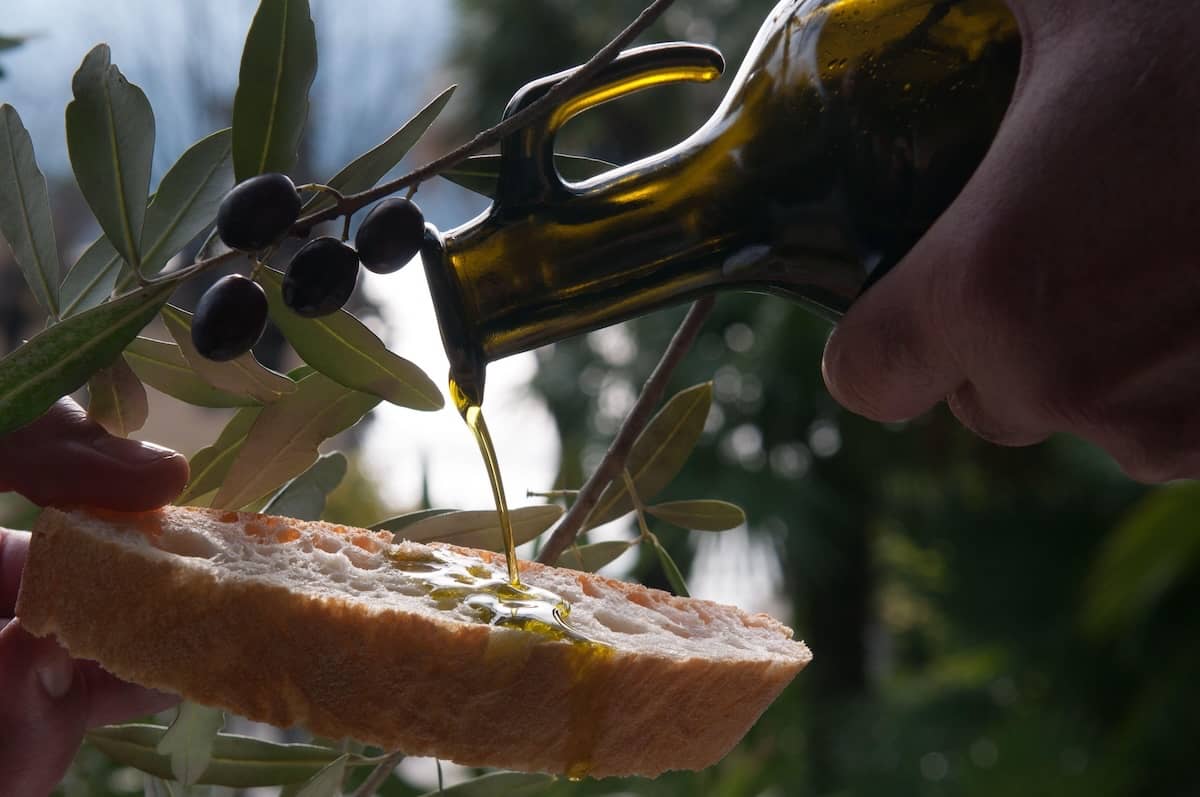 olio nuovo