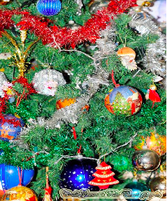 Blog06