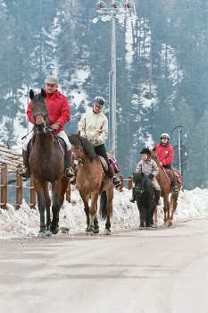 Valle d'Aosta - Passeggiata a cavallo a Cerisèy (Archivio fotografico GAVA)