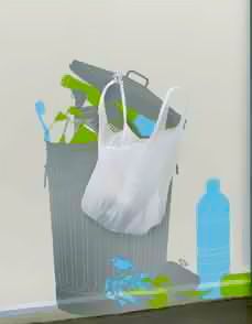 domestic_Plasticbags3