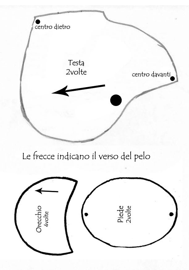 testa_orecchie_piede