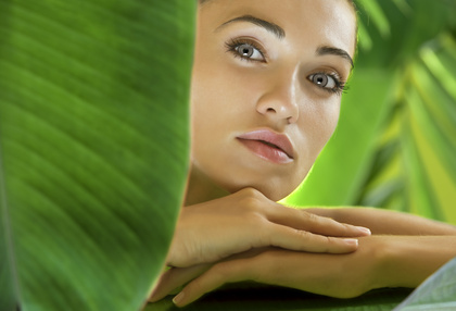 Fotolia_15452539_XS