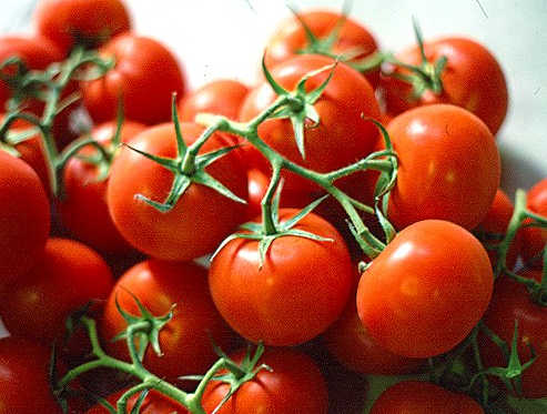 Pomodori