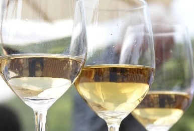 sapori_romagna_vino_bianco_copia