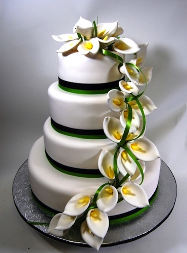torte7