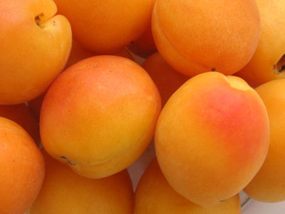 Albicocche