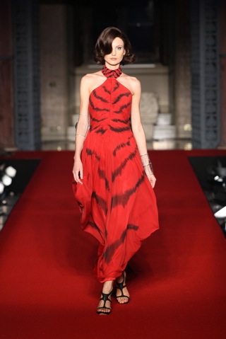 gattinonirosso