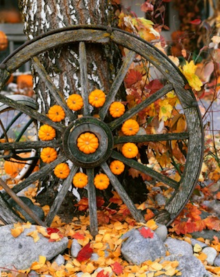 ecowedding_zucca