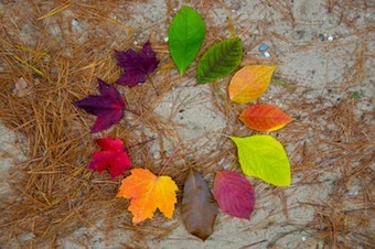 ghirlanda_colori