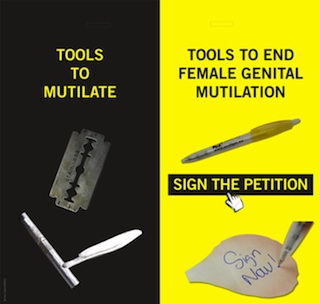 endfgm-petition