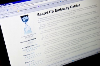 Wikileaks_dati