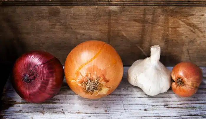 aglio e cipolla