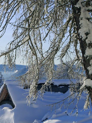 vacanze eco in tirolo