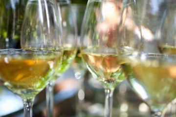 vino18luglio2011