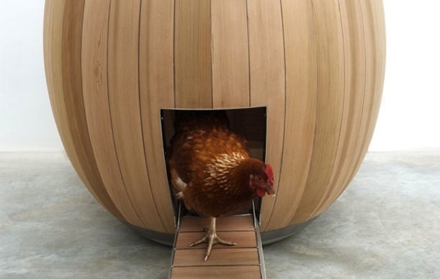 design-eco_casetta-per-galline_