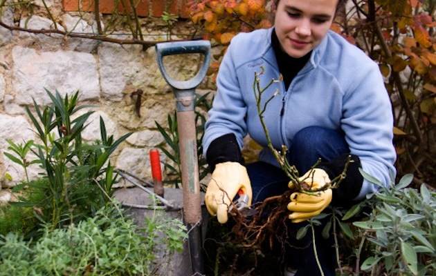 orto-giardino_autunno