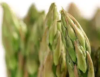 asparagi