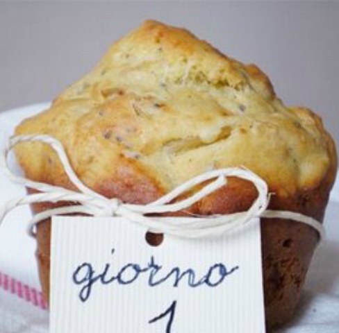 muffin27aprile2012dsw
