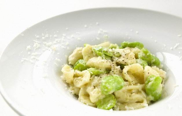 pasta_fave_pecorino