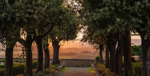 Castello_La_Lecchia_Giardino_copia
