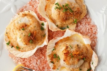conchiglie_pescatrice