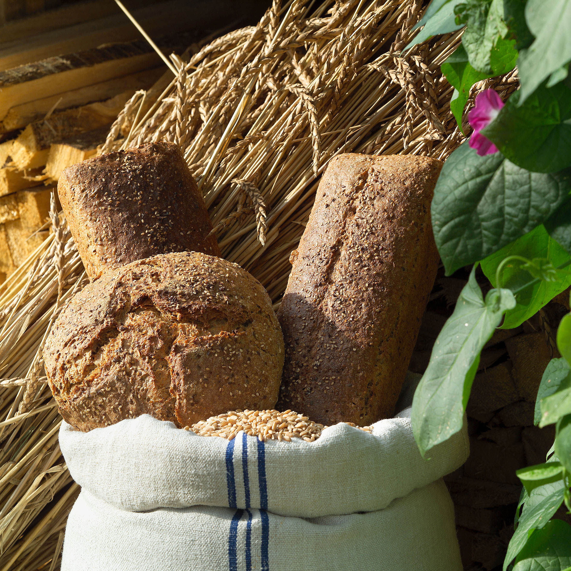 Come si fa il pane integrale in casa