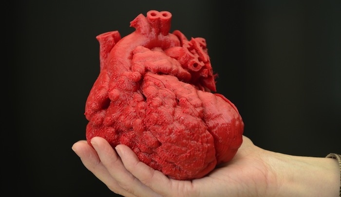 cuore stampante 3d