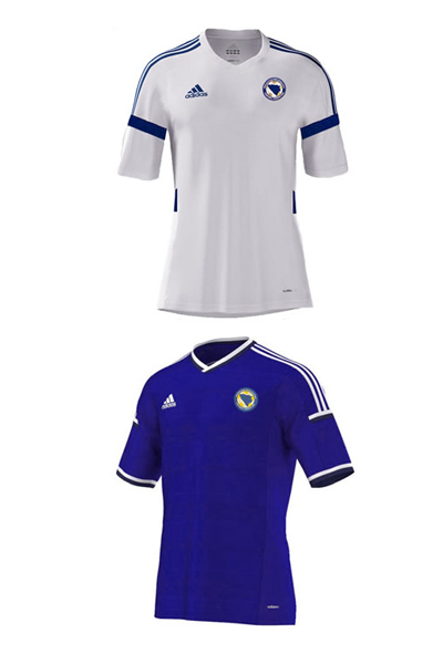 Brasile 2014:  Bosnia