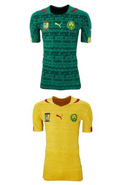 Brasile 2014:  Camerun