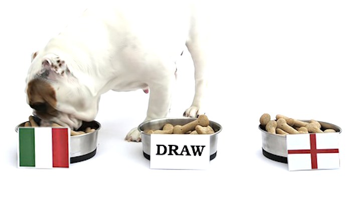 Roo  il bulldog  predice chi vincerà italia Inghilterra