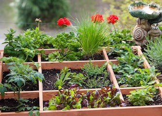 orto e fiori in terrazza