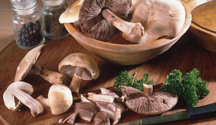 scegliere e pulire i funghi