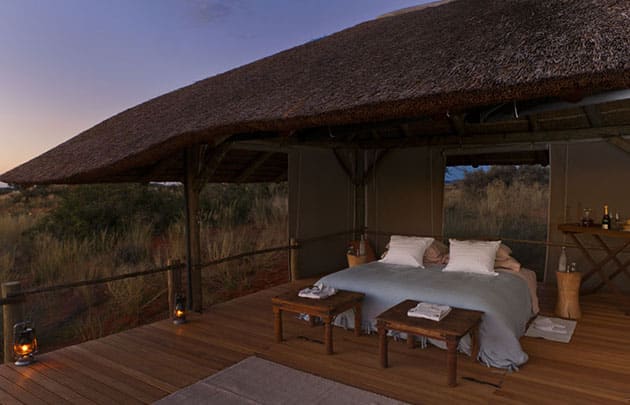 Tswalu Game Reserve. Southern Kalahari. Northern Cape. South Africa.