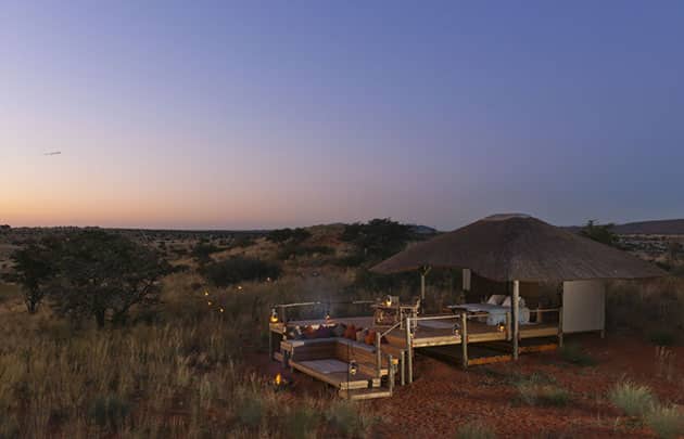 Tswalu Game Reserve. Southern Kalahari. Northern Cape. South Africa.
