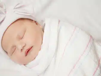 bebe