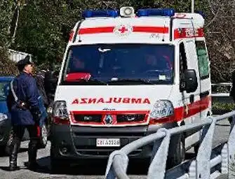 neonata