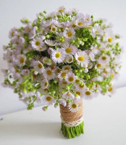 bouquet margherite 2015