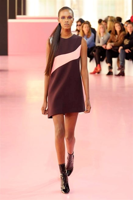 Christian Dior  sfilata autunno inverno 2015-2016 0046