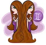 Gemelli segno zodiacale