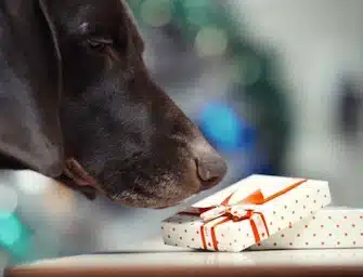 natale regali