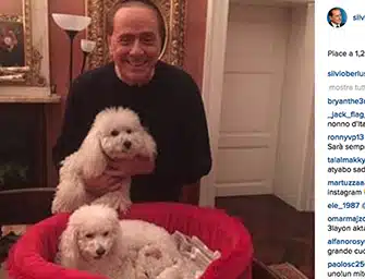 Dudù, Berlusconi  e la Pascale: il cane diventa padre, ma non era gay?