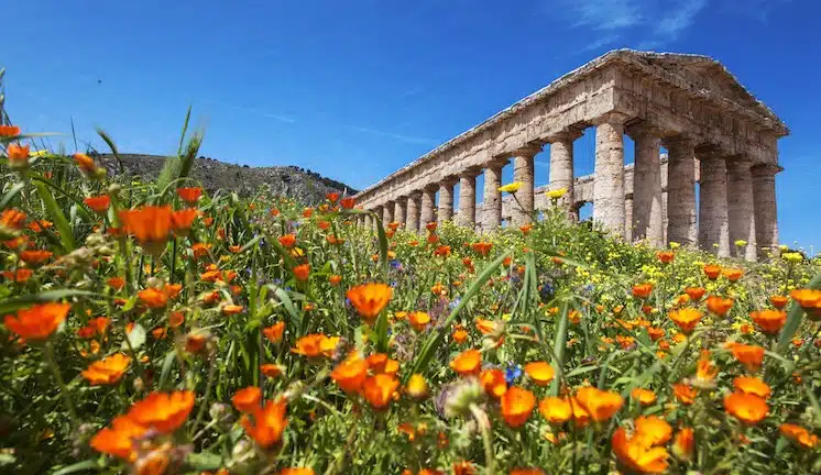 Sicilia primavera
