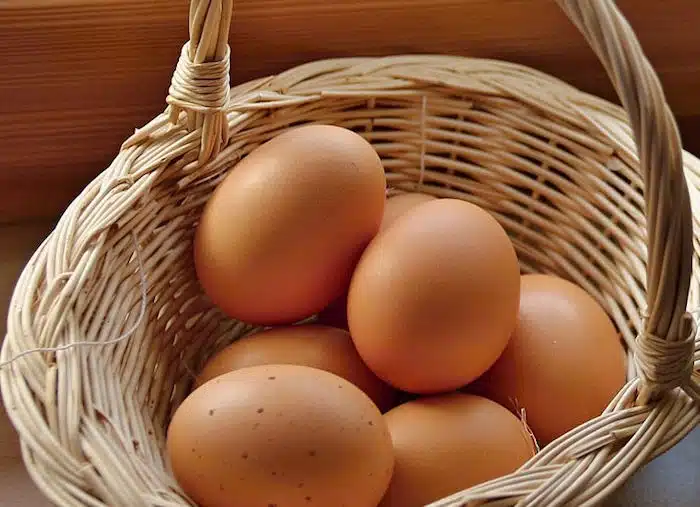 cestino uova