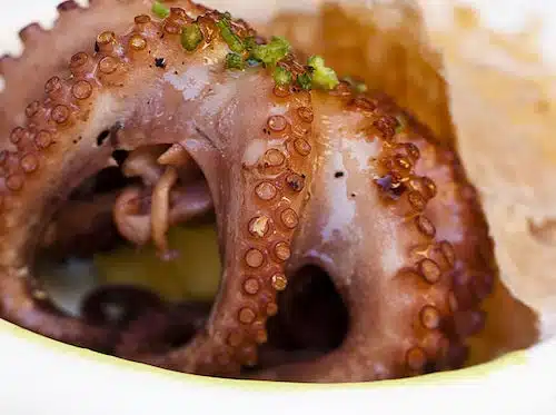 cuocere cucinare polpo