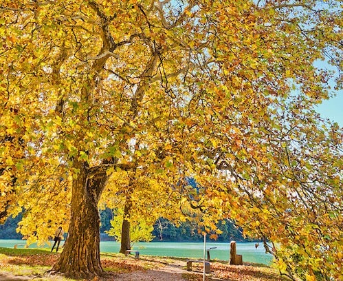 ottobre italia